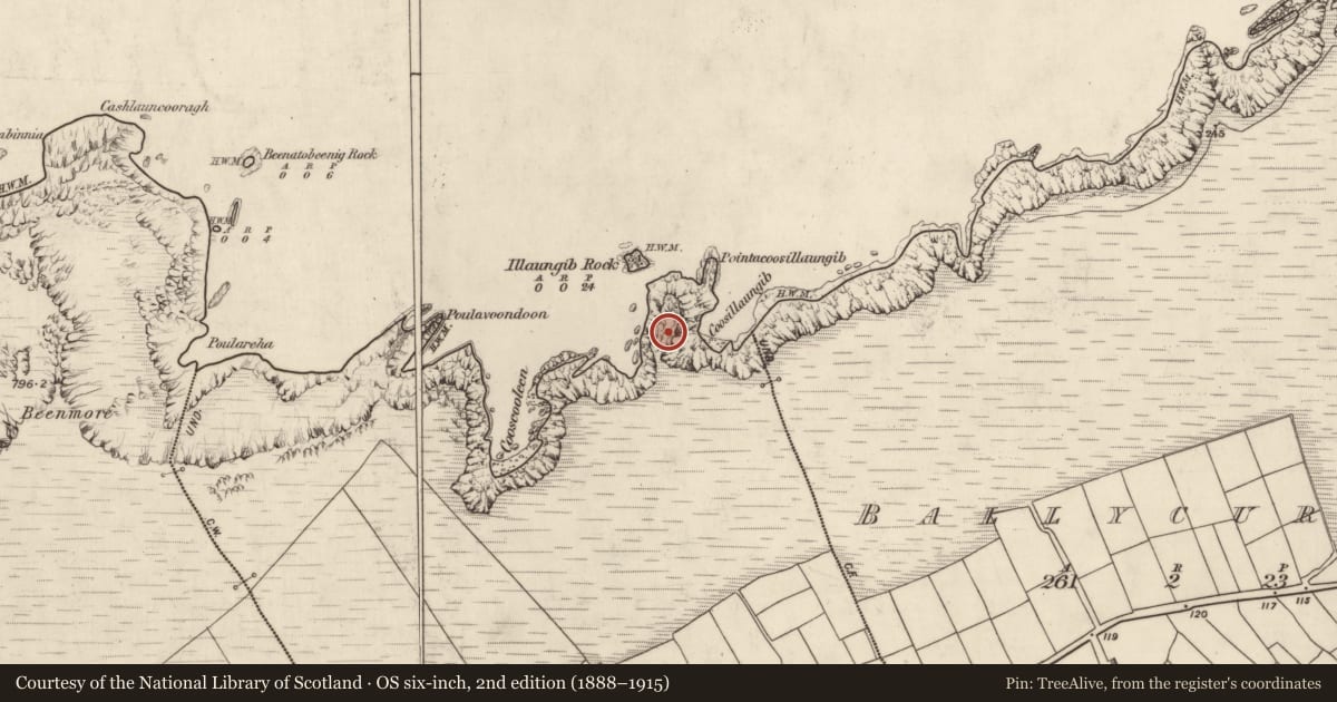 Ordnance Survey six-inch map, 2nd edition (1888–1915) covering the location of Promontory fort - coastal, Na Grafaí, County Kerry, with a pin at the register's coordinates