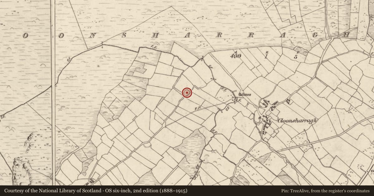 Ordnance Survey six-inch map, 2nd edition (1888–1915) covering the location of Ringfort - rath, Baile Na Leacan, County Kerry, with a pin at the register's coordinates