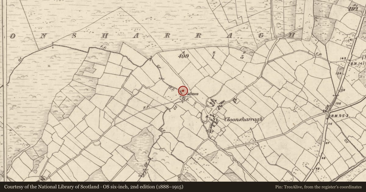 Ordnance Survey six-inch map, 2nd edition (1888–1915) covering the location of Stone row, Cluain Searrach, County Kerry, with a pin at the register's coordinates