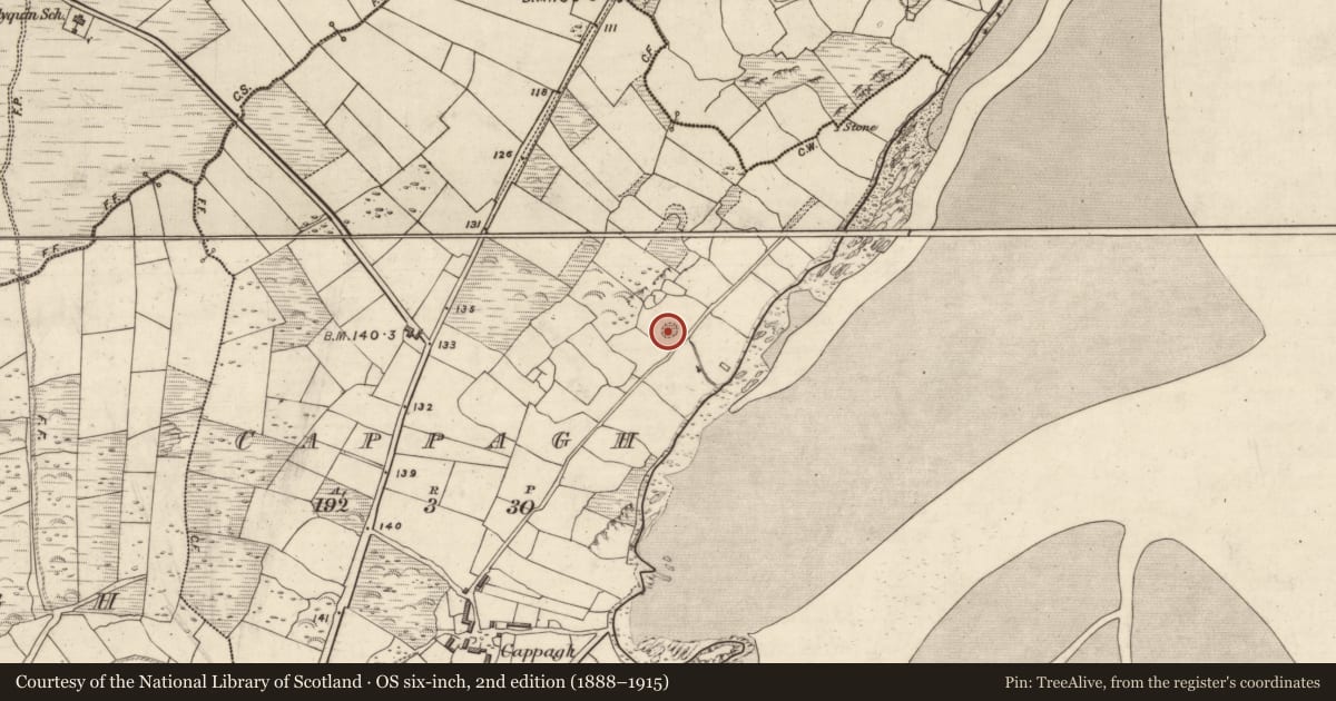 Ordnance Survey six-inch map, 2nd edition (1888–1915) covering the location of Children's burial ground, An Cheapaigh, County Kerry, with a pin at the register's coordinates