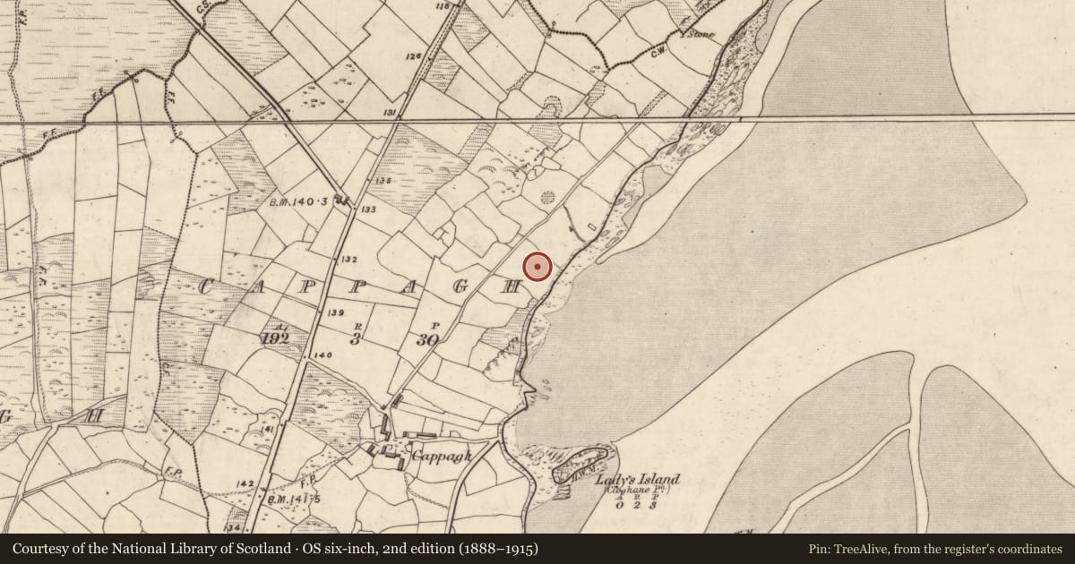 Ordnance Survey six-inch map, 2nd edition (1888–1915) covering the location of Standing stone, An Cheapaigh, County Kerry, with a pin at the register's coordinates
