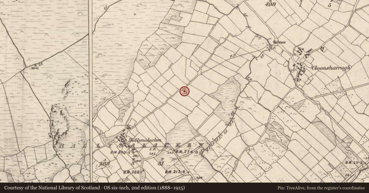 Ordnance Survey six-inch map, 2nd edition (1888–1915) covering the location of Ringfort - rath, Baile Na Leacan, County Kerry, with a pin at the register's coordinates