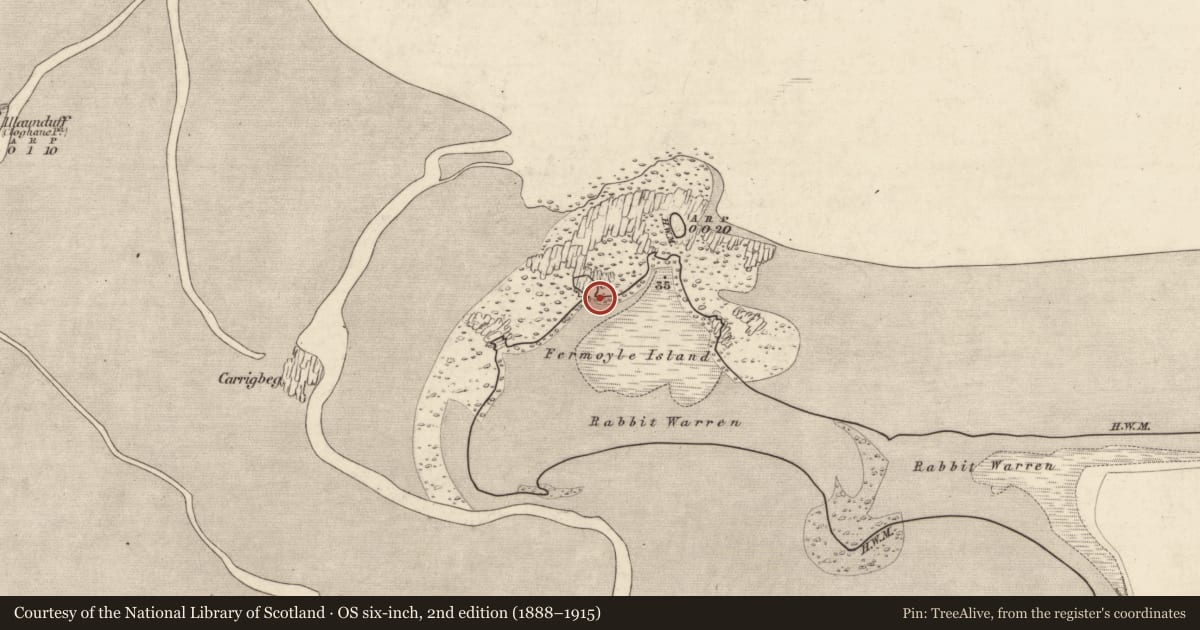 Ordnance Survey six-inch map, 2nd edition (1888–1915) covering the location of Midden, Formaoil (TC An Sráidbhaile), County Kerry, with a pin at the register's coordinates