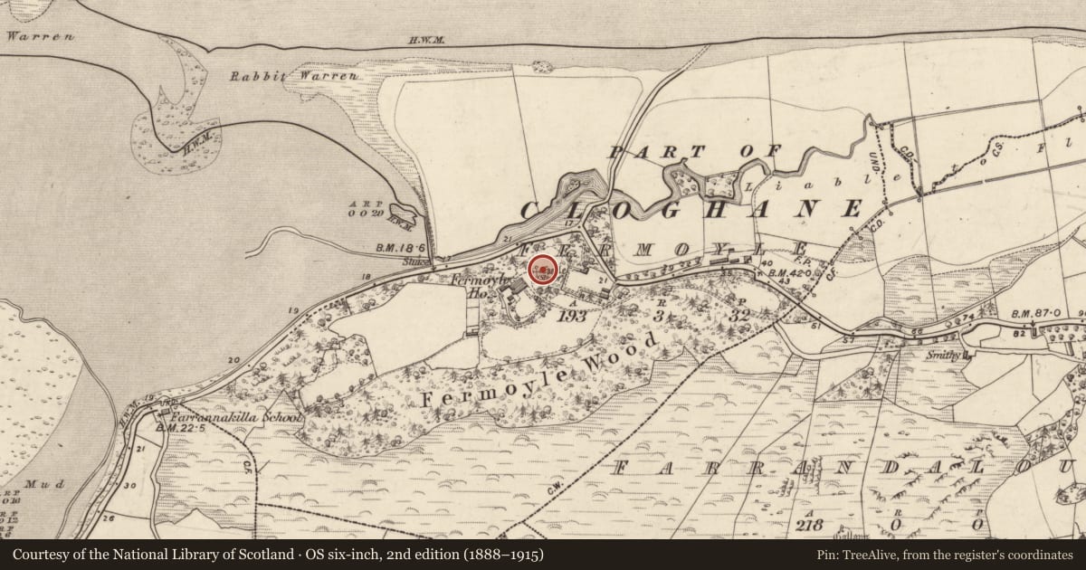 Ordnance Survey six-inch map, 2nd edition (1888–1915) covering the location of Castle - unclassified, Formaoil (TC An Sráidbhaile), County Kerry, with a pin at the register's coordinates