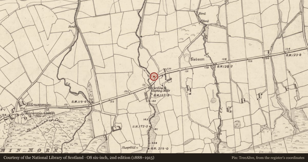 Ordnance Survey six-inch map, 2nd edition (1888–1915) covering the location of Ringfort - rath, Cappateige, County Kerry, with a pin at the register's coordinates