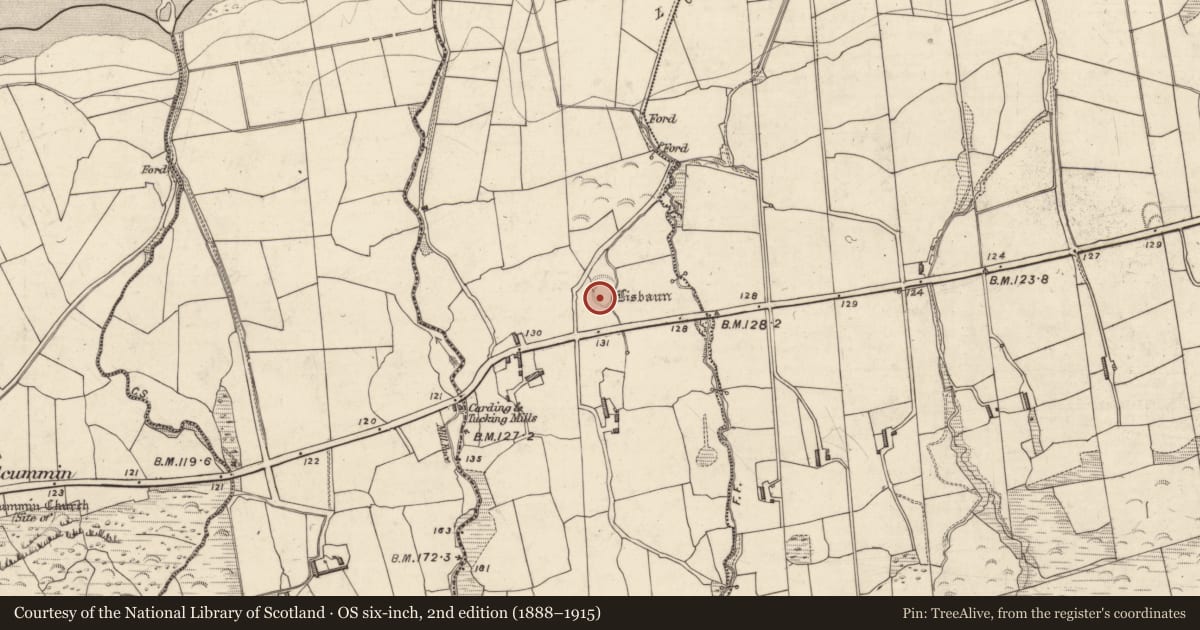 Ordnance Survey six-inch map, 2nd edition (1888–1915) covering the location of Ringfort - rath, Cappateige, County Kerry, with a pin at the register's coordinates