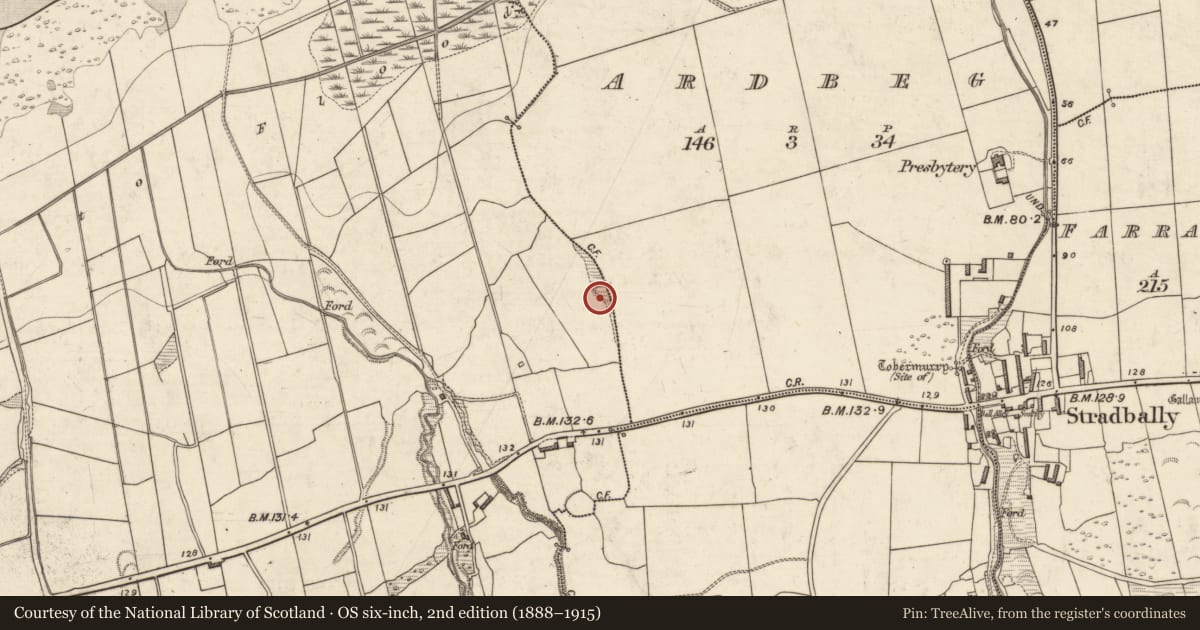 Ordnance Survey six-inch map, 2nd edition (1888–1915) covering the location of Ringfort - rath, Ardbeg, Gowlane, County Kerry, with a pin at the register's coordinates