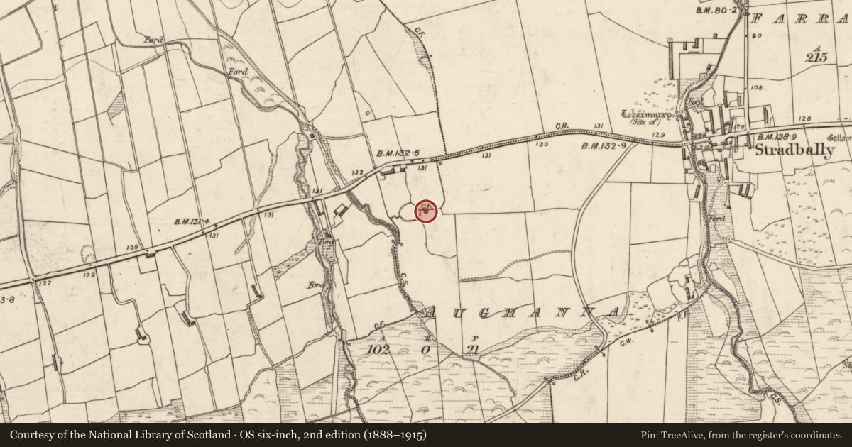 Ordnance Survey six-inch map, 2nd edition (1888–1915) covering the location of Bullaun stone, Aughanna, Gowlane, County Kerry, with a pin at the register's coordinates