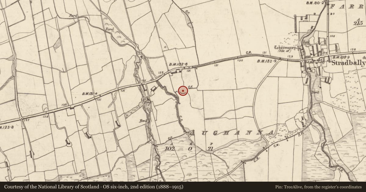 Ordnance Survey six-inch map, 2nd edition (1888–1915) covering the location of Burial ground, Aughanna, County Kerry, with a pin at the register's coordinates