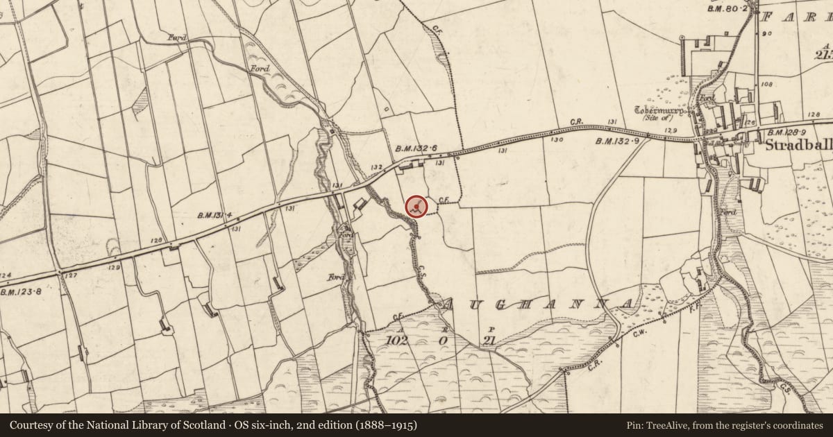 Ordnance Survey six-inch map, 2nd edition (1888–1915) covering the location of Souterrain, Gowlane, County Kerry, with a pin at the register's coordinates