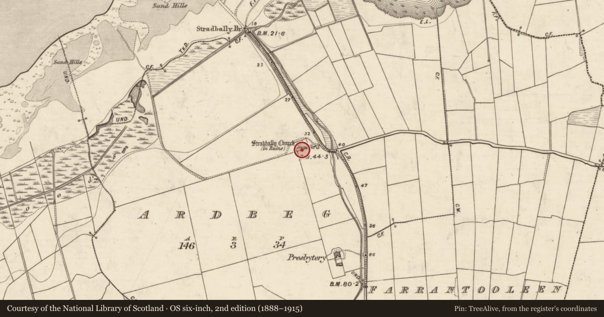 Ordnance Survey six-inch map, 2nd edition (1888–1915) covering the location of Rock art, Ardbeg, County Kerry, with a pin at the register's coordinates