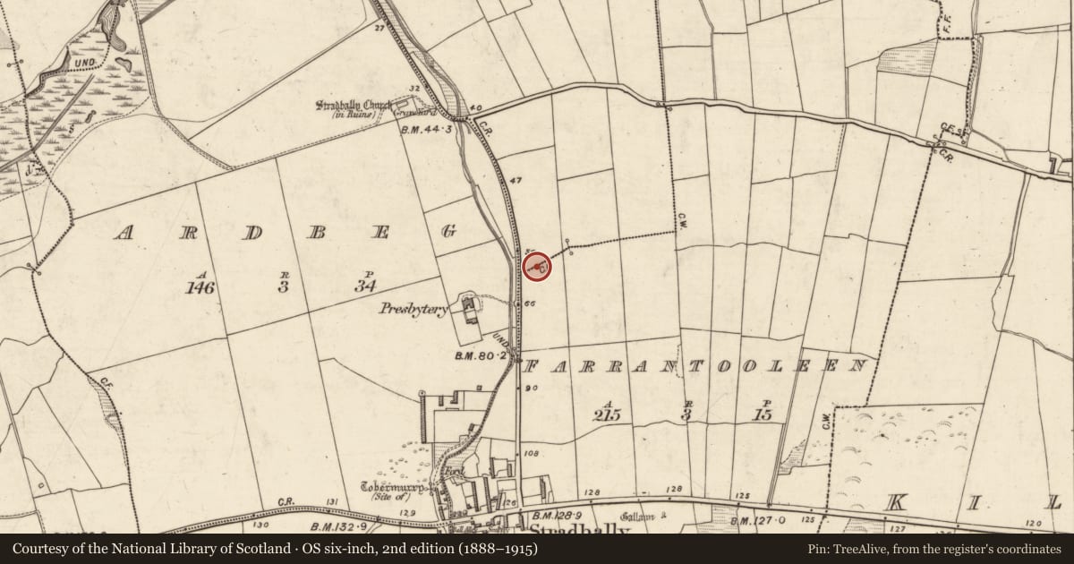 Ordnance Survey six-inch map, 2nd edition (1888–1915) covering the location of Souterrain, Barrack, County Kerry, with a pin at the register's coordinates
