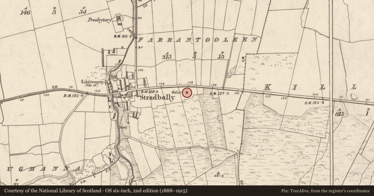 Ordnance Survey six-inch map, 2nd edition (1888–1915) covering the location of Standing stone, Farrantooleen, County Kerry, with a pin at the register's coordinates