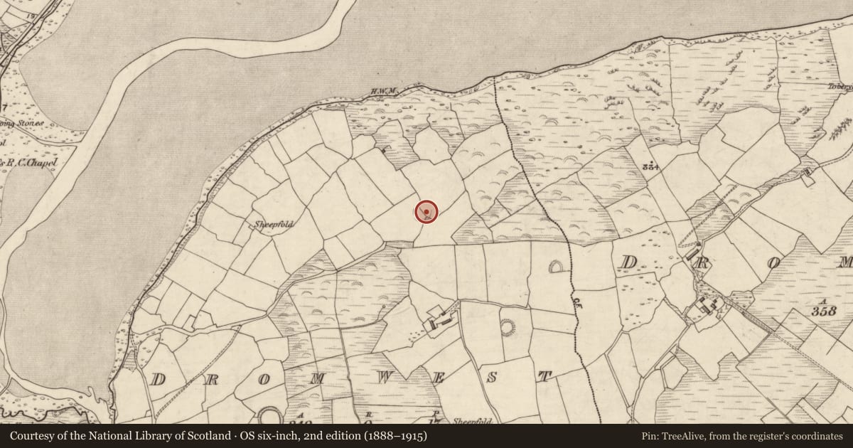 Ordnance Survey six-inch map, 2nd edition (1888–1915) covering the location of Ringfort - rath, An Droim Thiar, County Kerry, with a pin at the register's coordinates