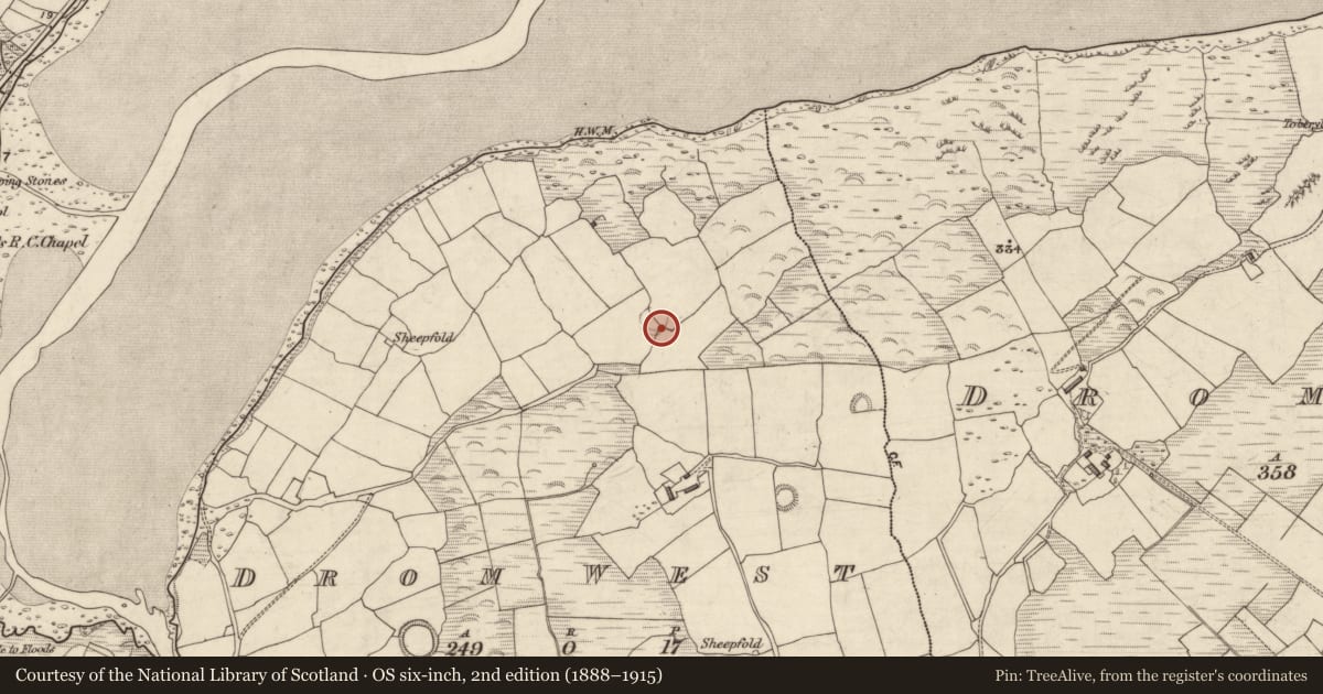 Ordnance Survey six-inch map, 2nd edition (1888–1915) covering the location of Souterrain, An Droim Thiar, County Kerry, with a pin at the register's coordinates