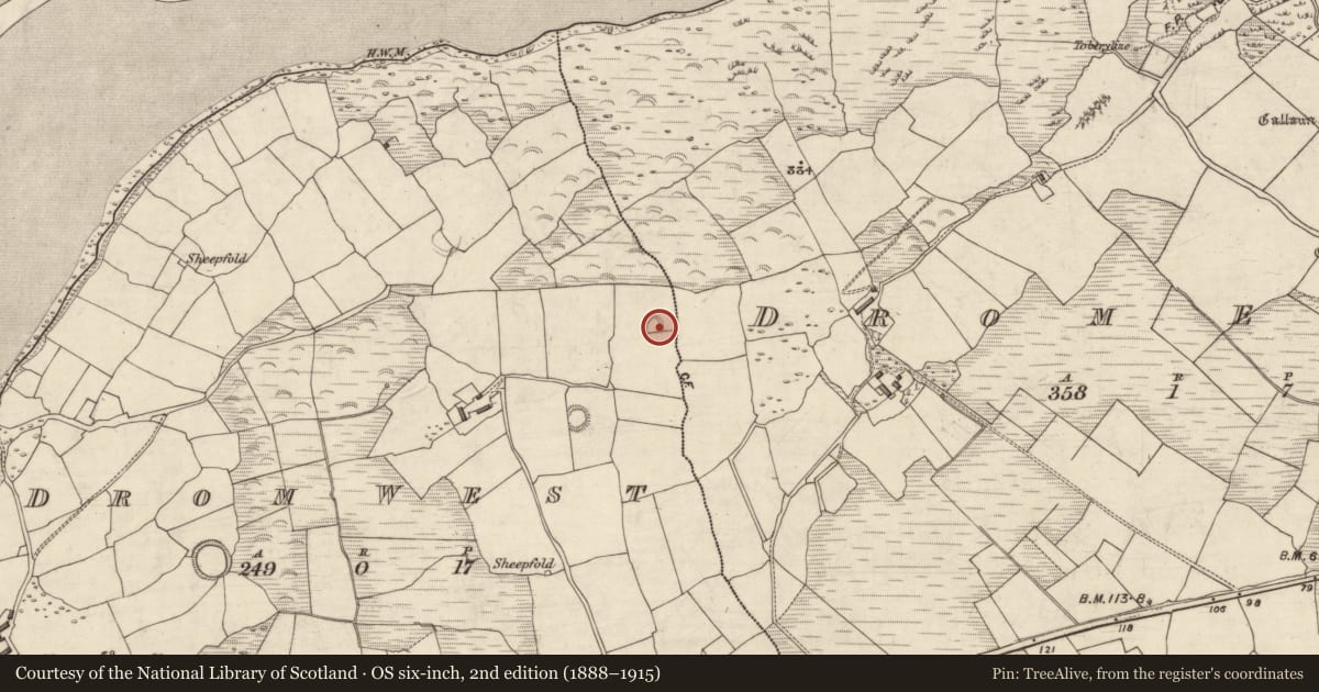 Ordnance Survey six-inch map, 2nd edition (1888–1915) covering the location of Ringfort - rath, An Droim Thiar, County Kerry, with a pin at the register's coordinates