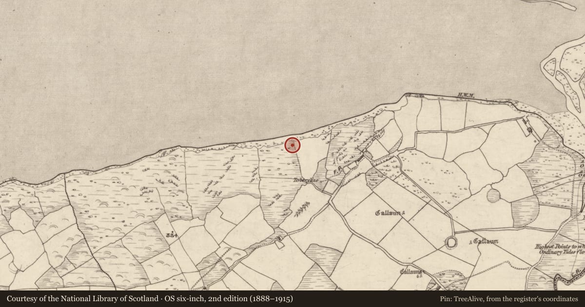 Ordnance Survey six-inch map, 2nd edition (1888–1915) covering the location of Midden, An Droim Thoir, County Kerry, with a pin at the register's coordinates