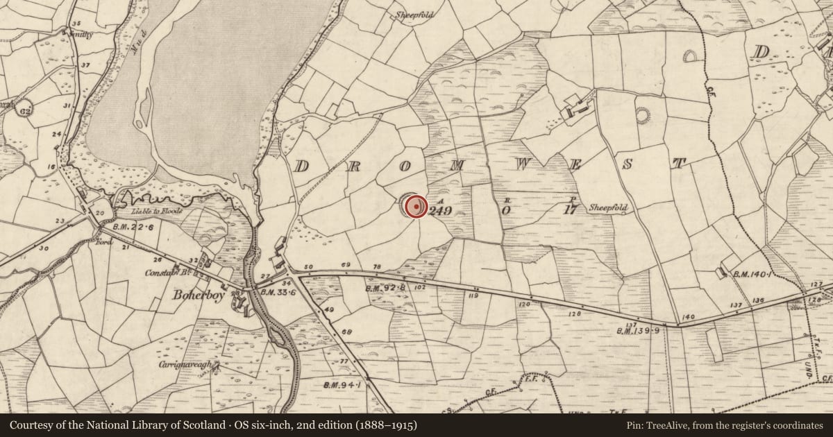Ordnance Survey six-inch map, 2nd edition (1888–1915) covering the location of Ringfort - rath, An Droim Thiar, County Kerry, with a pin at the register's coordinates
