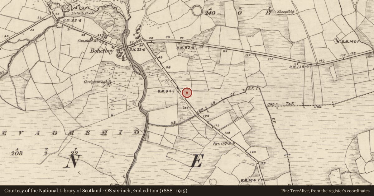 Ordnance Survey six-inch map, 2nd edition (1888–1915) covering the location of Inscribed stone, An Droim Thiar, County Kerry, with a pin at the register's coordinates