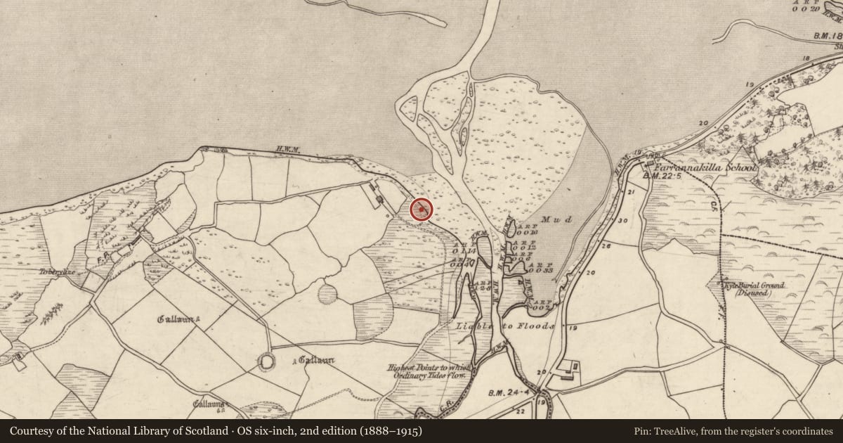 Ordnance Survey six-inch map, 2nd edition (1888–1915) covering the location of Midden, An Droim Thoir, County Kerry, with a pin at the register's coordinates