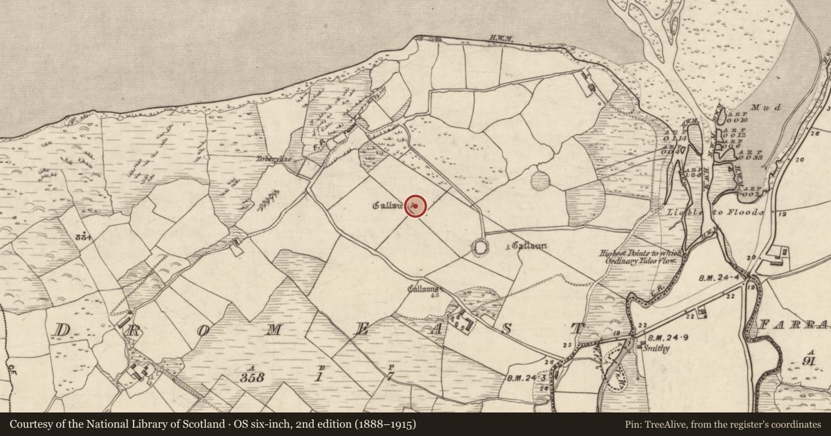 Ordnance Survey six-inch map, 2nd edition (1888–1915) covering the location of Standing stone, An Droim Thoir, County Kerry, with a pin at the register's coordinates