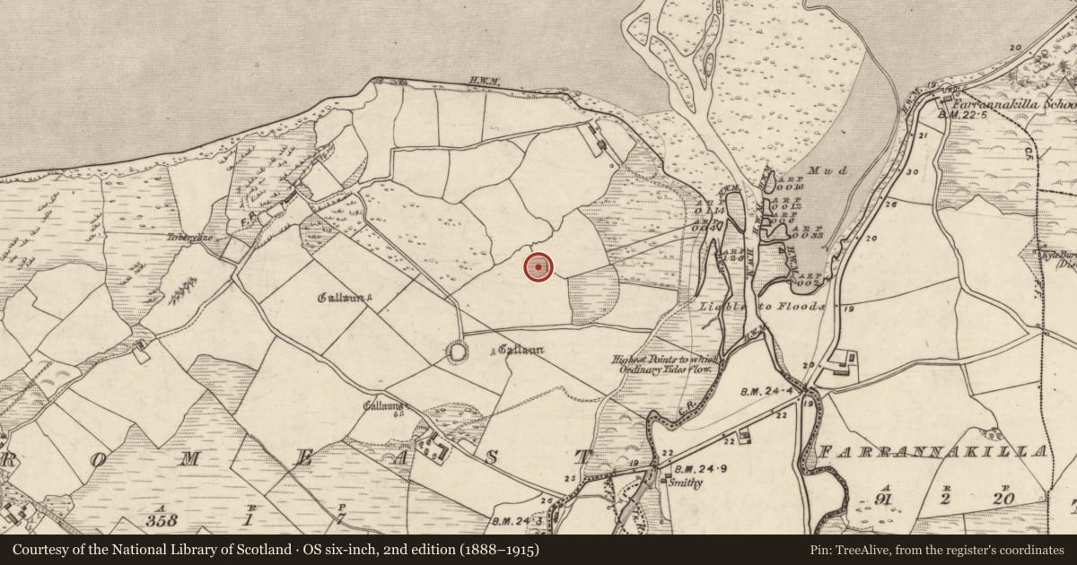 Ordnance Survey six-inch map, 2nd edition (1888–1915) covering the location of Hut site, An Droim Thoir, County Kerry, with a pin at the register's coordinates