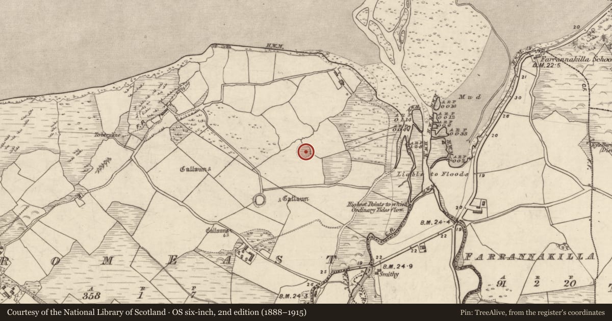 Ordnance Survey six-inch map, 2nd edition (1888–1915) covering the location of Hut site, An Droim Thoir, County Kerry, with a pin at the register's coordinates