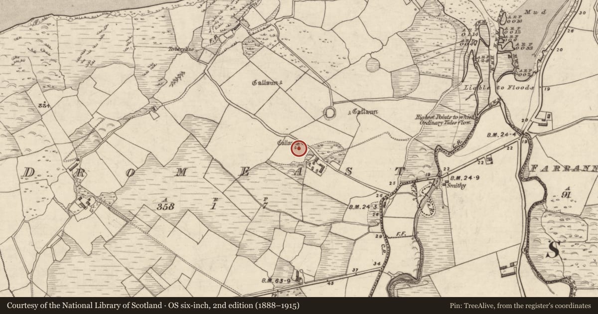 Ordnance Survey six-inch map, 2nd edition (1888–1915) covering the location of Standing stone - pair, An Droim Thoir, County Kerry, with a pin at the register's coordinates