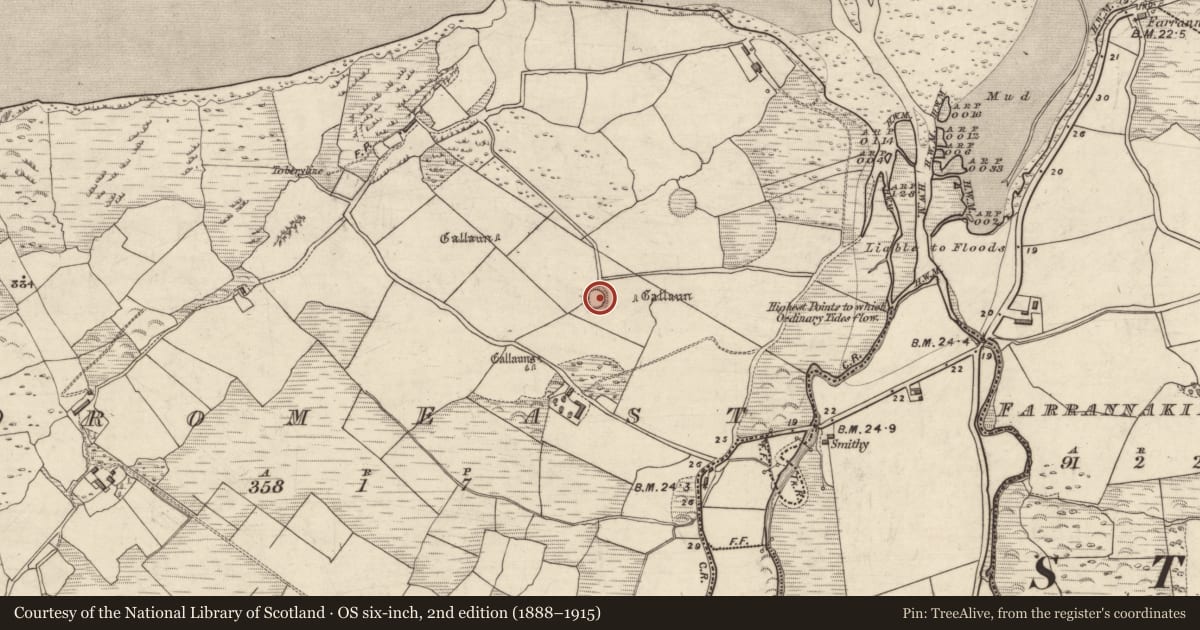 Ordnance Survey six-inch map, 2nd edition (1888–1915) covering the location of Ringfort - rath, An Droim Thoir, County Kerry, with a pin at the register's coordinates