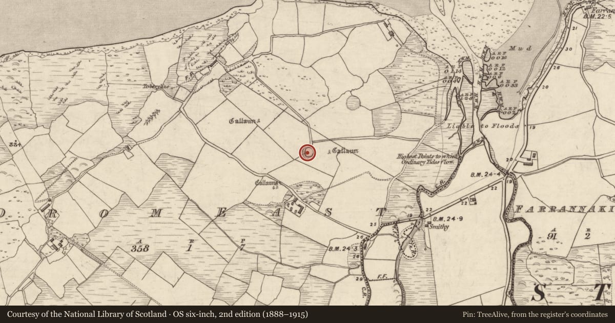 Ordnance Survey six-inch map, 2nd edition (1888–1915) covering the location of Hut site, An Droim Thoir, County Kerry, with a pin at the register's coordinates