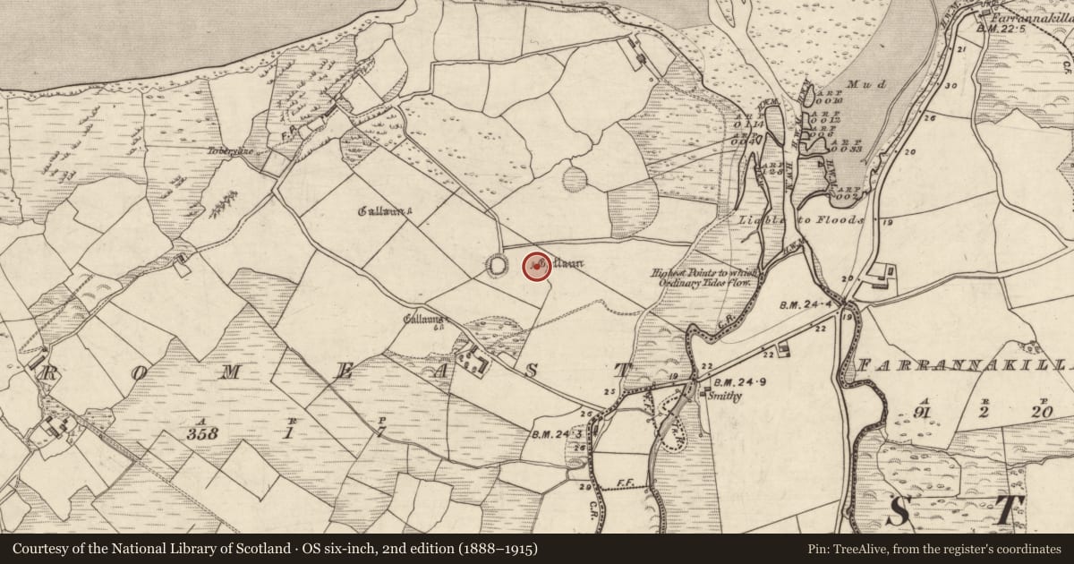 Ordnance Survey six-inch map, 2nd edition (1888–1915) covering the location of Cross-inscribed stone, An Droim Thoir, County Kerry, with a pin at the register's coordinates