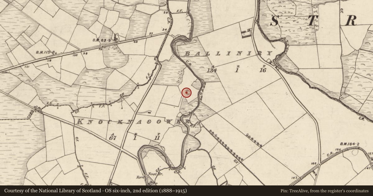 Ordnance Survey six-inch map, 2nd edition (1888–1915) covering the location of Hut site, Cnoc Na Ngabhar, County Kerry, with a pin at the register's coordinates