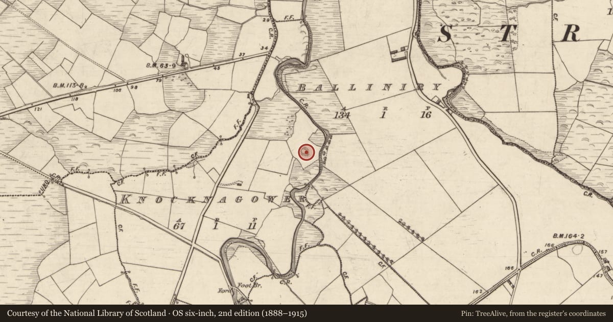 Ordnance Survey six-inch map, 2nd edition (1888–1915) covering the location of Souterrain, Cnoc Na Ngabhar, County Kerry, with a pin at the register's coordinates