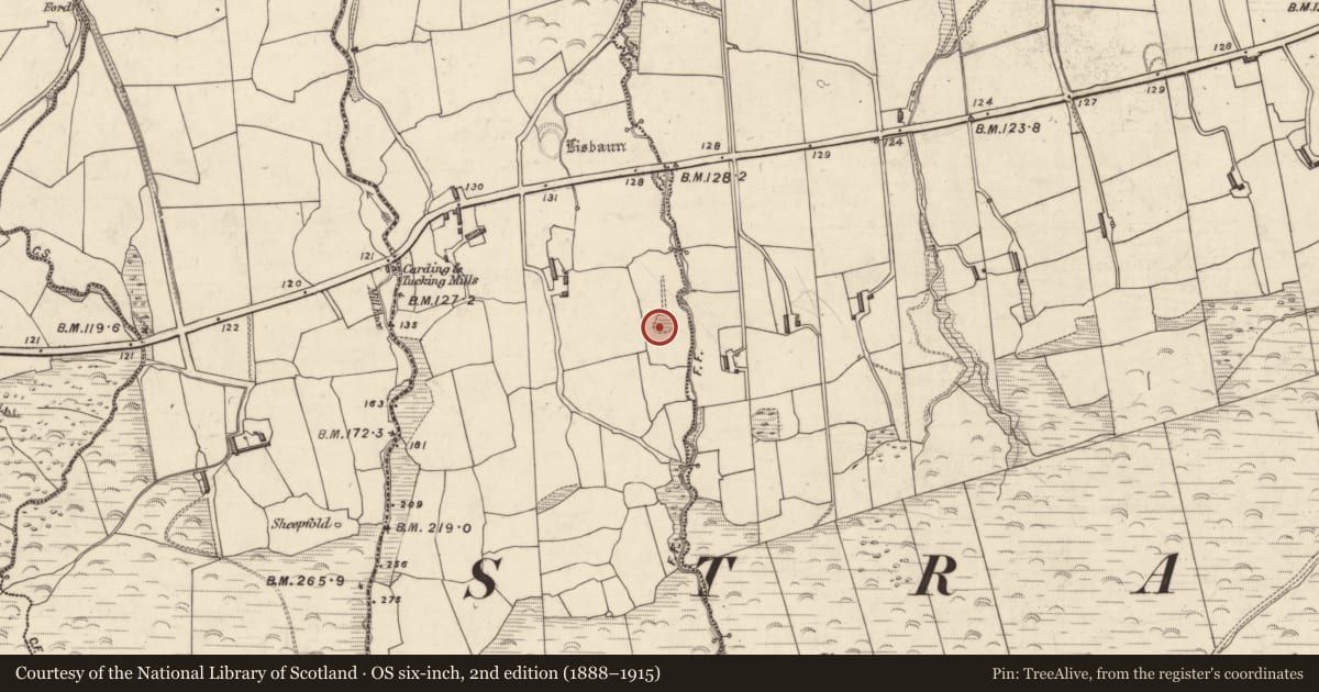 Ordnance Survey six-inch map, 2nd edition (1888–1915) covering the location of Enclosure, Cappateige, County Kerry, with a pin at the register's coordinates