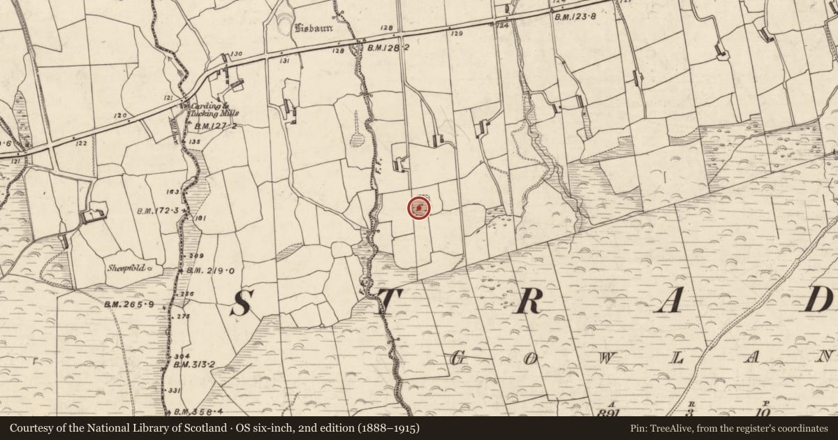 Ordnance Survey six-inch map, 2nd edition (1888–1915) covering the location of Ringfort - cashel, Gowlane, County Kerry, with a pin at the register's coordinates