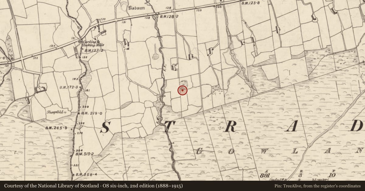 Ordnance Survey six-inch map, 2nd edition (1888–1915) covering the location of Hut site, Gowlane, County Kerry, with a pin at the register's coordinates