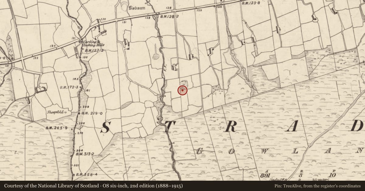 Ordnance Survey six-inch map, 2nd edition (1888–1915) covering the location of Hut site, Gowlane, County Kerry, with a pin at the register's coordinates