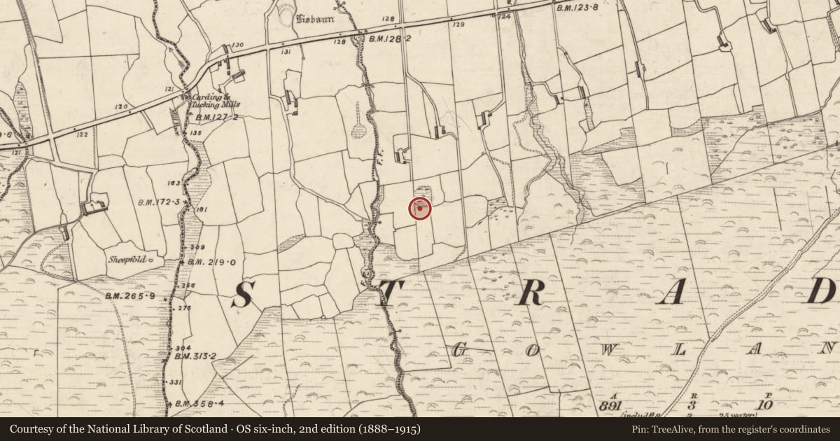 Ordnance Survey six-inch map, 2nd edition (1888–1915) covering the location of Hut site, Gowlane, County Kerry, with a pin at the register's coordinates