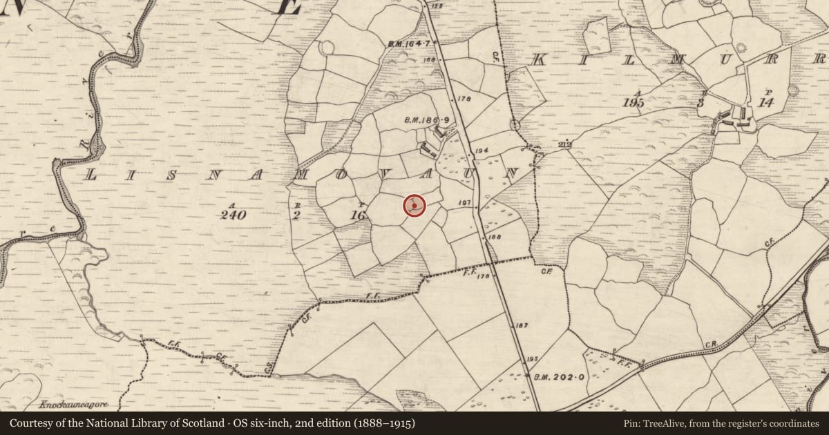 Ordnance Survey six-inch map, 2nd edition (1888–1915) covering the location of Ringfort - rath, Lios Na Mbóbhán, County Kerry, with a pin at the register's coordinates