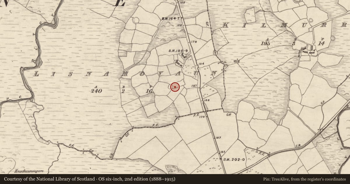 Ordnance Survey six-inch map, 2nd edition (1888–1915) covering the location of Hut site, Lios Na Mbóbhán, County Kerry, with a pin at the register's coordinates