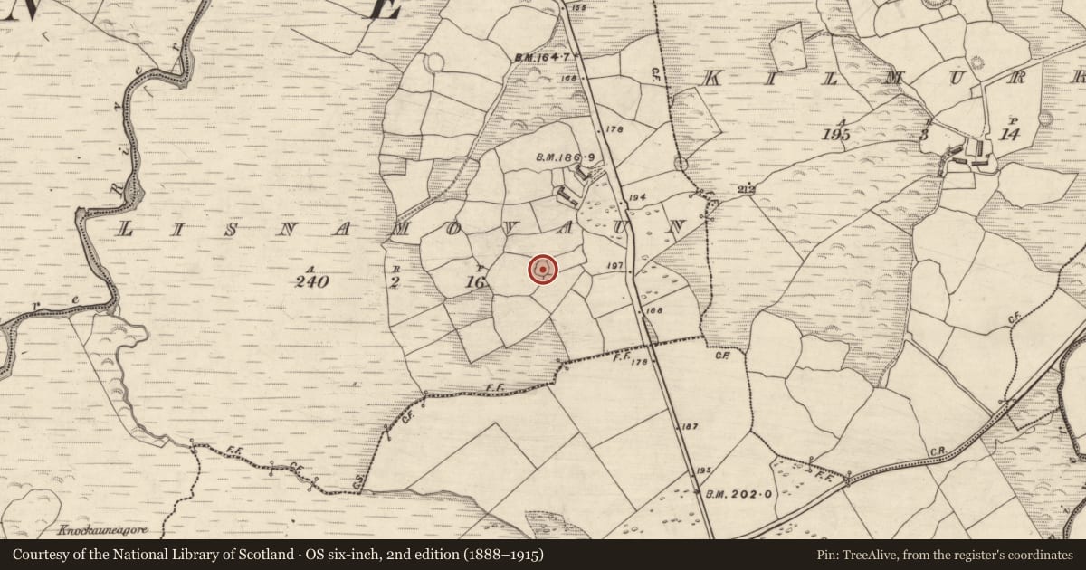 Ordnance Survey six-inch map, 2nd edition (1888–1915) covering the location of Hut site, Lios Na Mbóbhán, County Kerry, with a pin at the register's coordinates