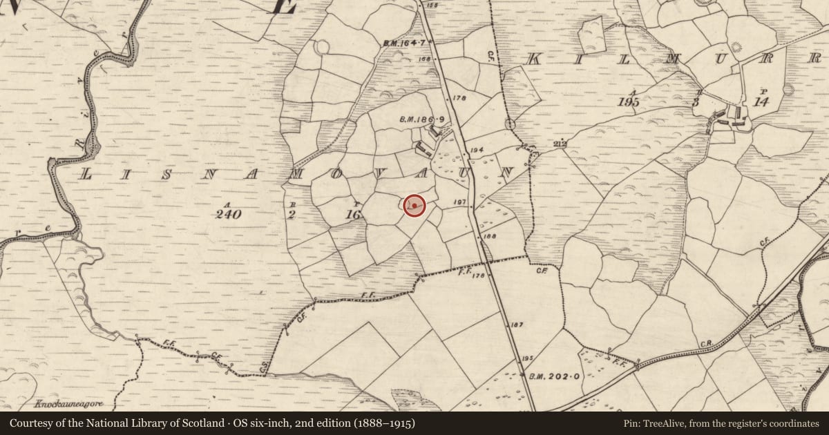 Ordnance Survey six-inch map, 2nd edition (1888–1915) covering the location of Hut site, Lios Na Mbóbhán, County Kerry, with a pin at the register's coordinates