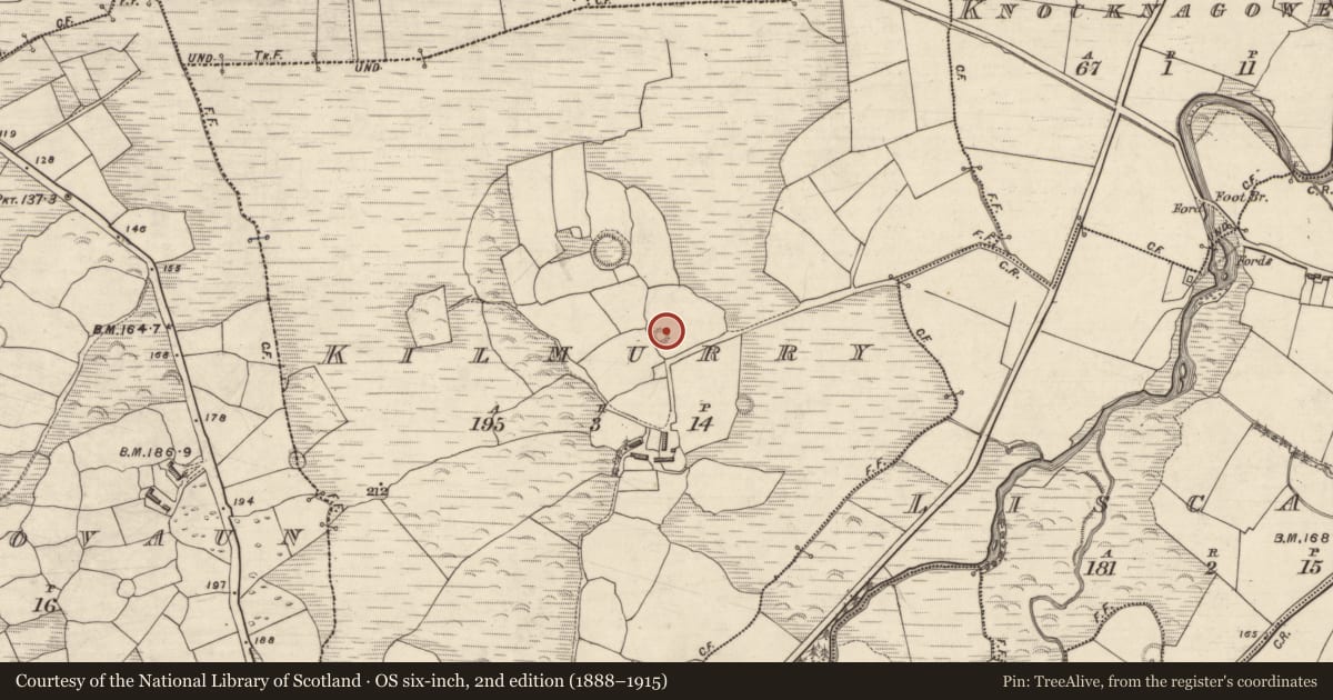Ordnance Survey six-inch map, 2nd edition (1888–1915) covering the location of Hut site, Cill Mhuire (TC An Baile Dubh), County Kerry, with a pin at the register's coordinates