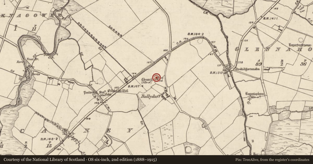 Ordnance Survey six-inch map, 2nd edition (1888–1915) covering the location of Church, An Baile Dubh, County Kerry, with a pin at the register's coordinates