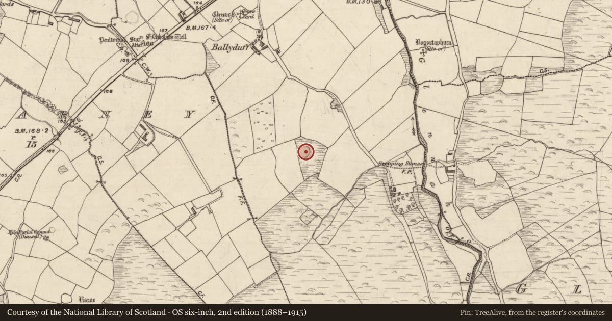 Ordnance Survey six-inch map, 2nd edition (1888–1915) covering the location of Ringfort - rath, An Baile Dubh, County Kerry, with a pin at the register's coordinates