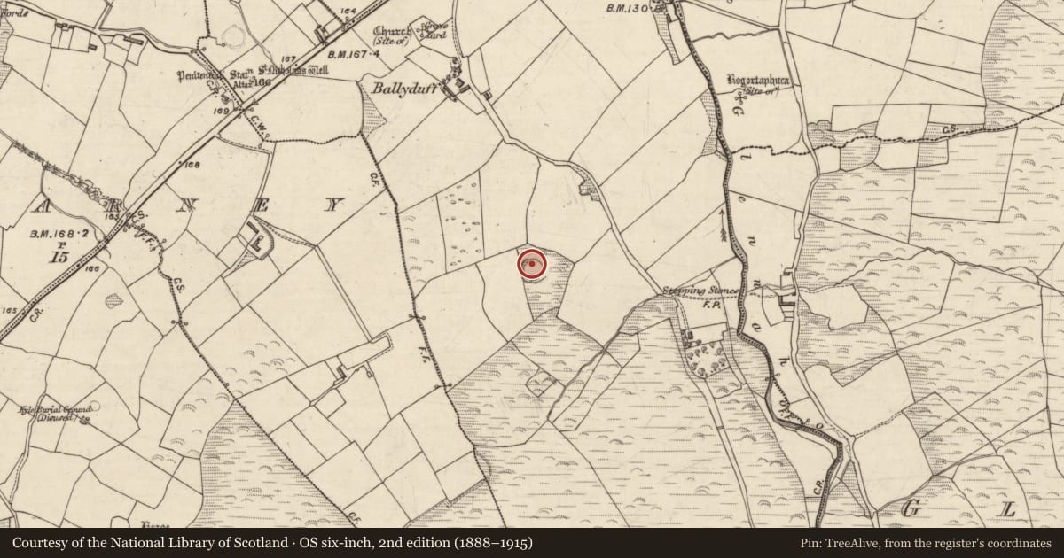Ordnance Survey six-inch map, 2nd edition (1888–1915) covering the location of Hut site, An Baile Dubh, County Kerry, with a pin at the register's coordinates