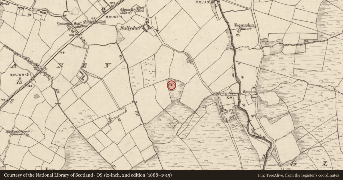 Ordnance Survey six-inch map, 2nd edition (1888–1915) covering the location of Hut site, An Baile Dubh, County Kerry, with a pin at the register's coordinates