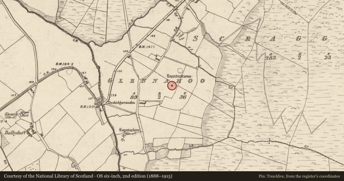 Ordnance Survey six-inch map, 2nd edition (1888–1915) covering the location of Ringfort - rath, Gleann Na Huamha (Bar. Corca Dhuibhne, Baile Dubh), County Kerry, with a pin at the register's coordinates