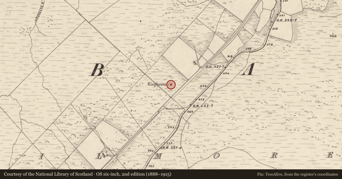 Ordnance Survey six-inch map, 2nd edition (1888–1915) covering the location of Clochan, An Choill Mhór (Bar. Corca Dhuibhne), County Kerry, with a pin at the register's coordinates