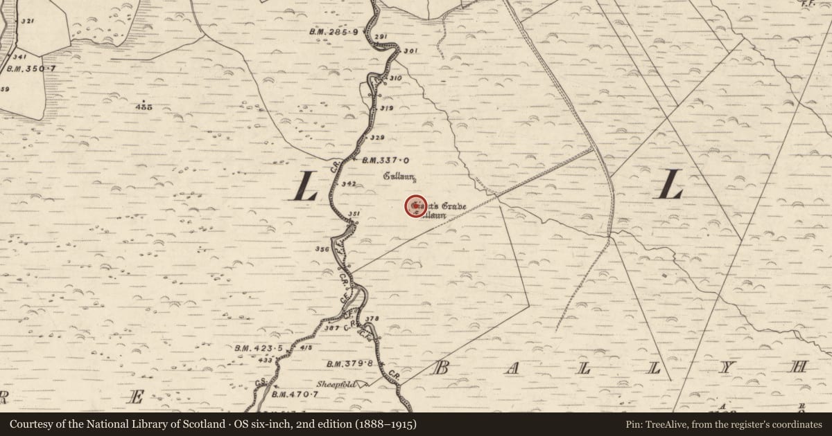Ordnance Survey six-inch map, 2nd edition (1888–1915) covering the location of Megalithic tomb - wedge tomb, Baile Uí Uaithnín, County Kerry, with a pin at the register's coordinates